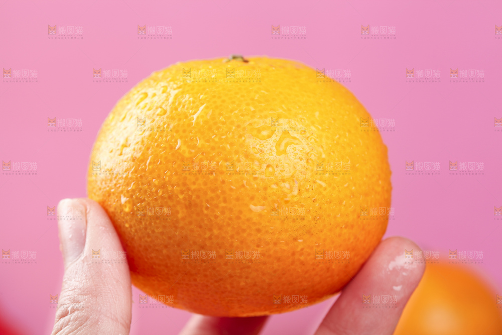 手拿皇帝柑