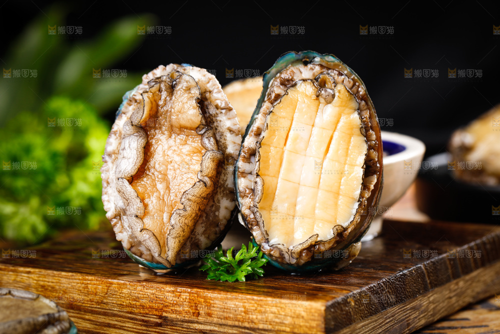 木底上的鲍鱼