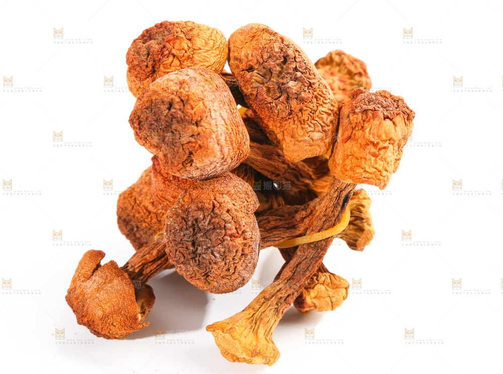 白底上的云南姬松茸