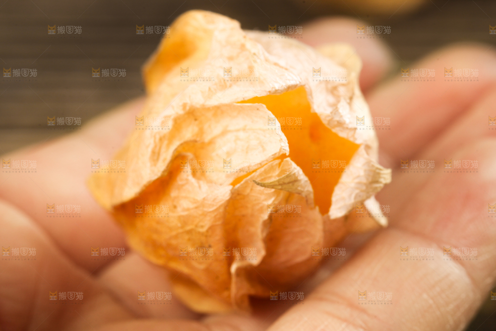 手里拿着姑娘果