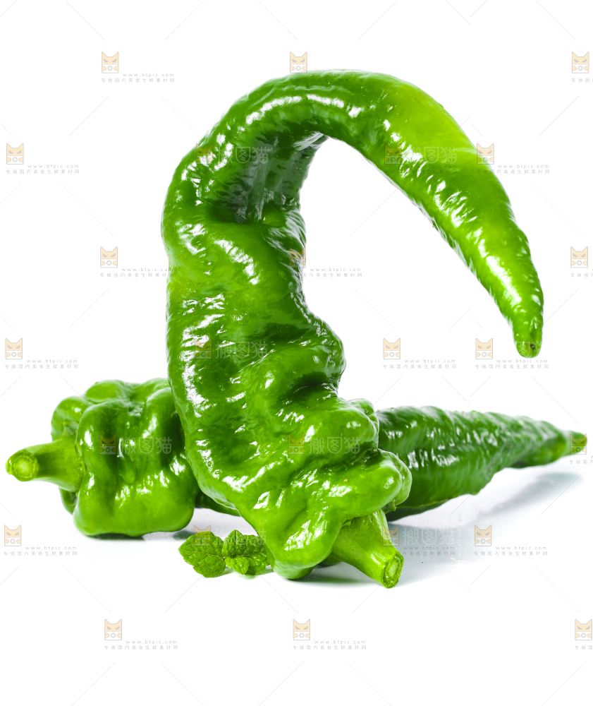 白底上的新鲜螺丝椒
