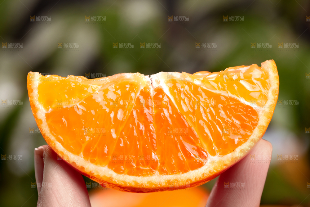 手拿切开的沃柑