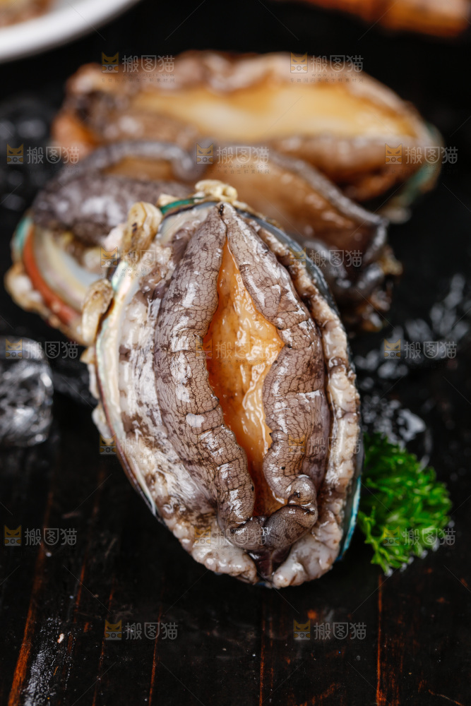 黑石板上的鲍鱼