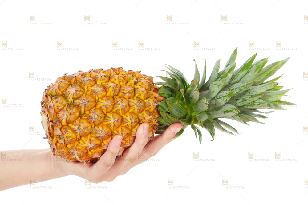手上拿着凤梨