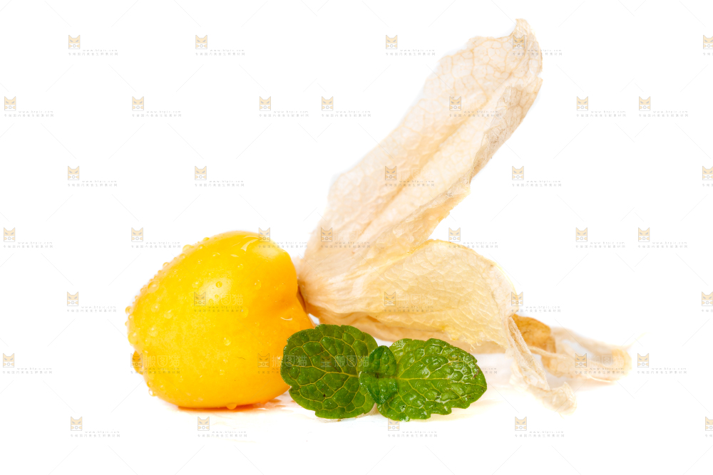 白底上摆放着姑娘果
