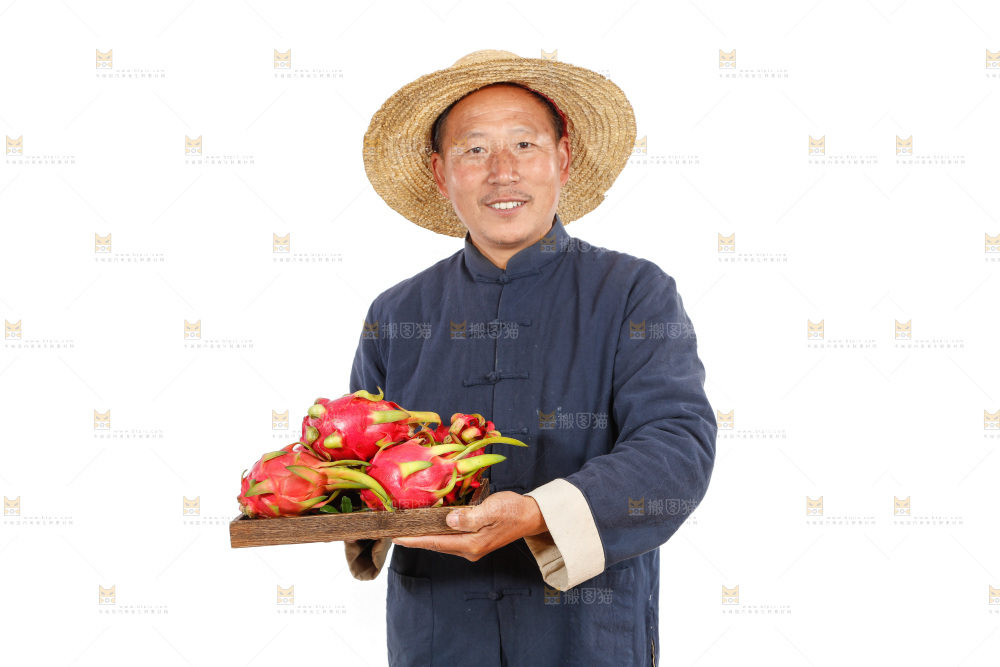 农民手里端着火龙果