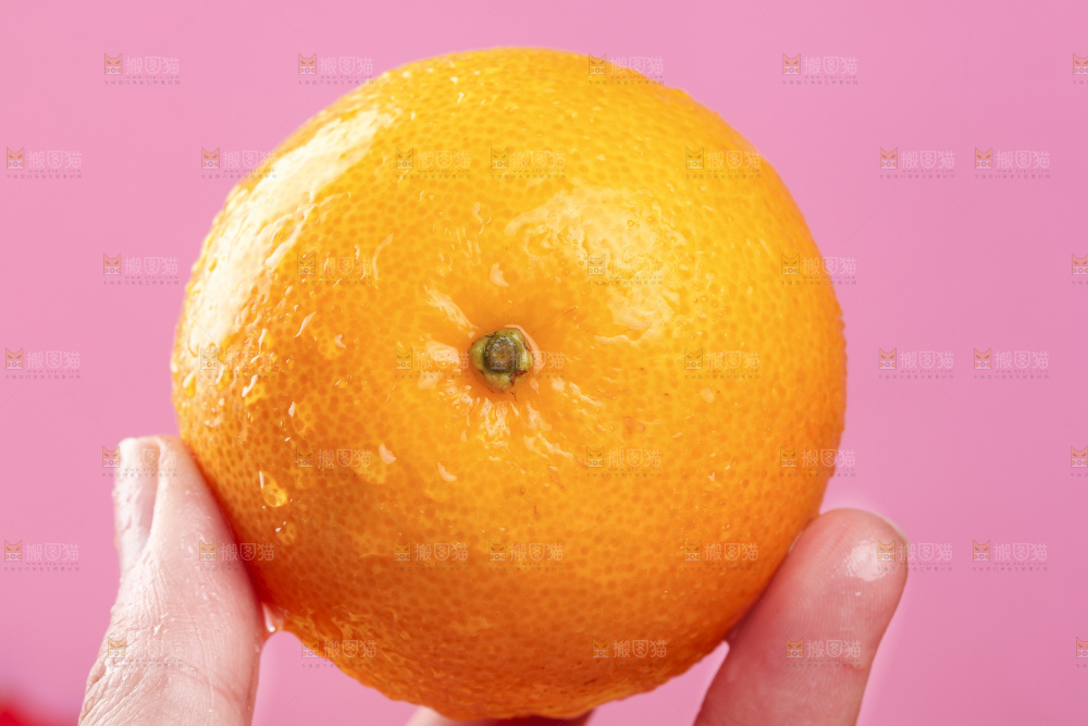 手拿皇帝柑