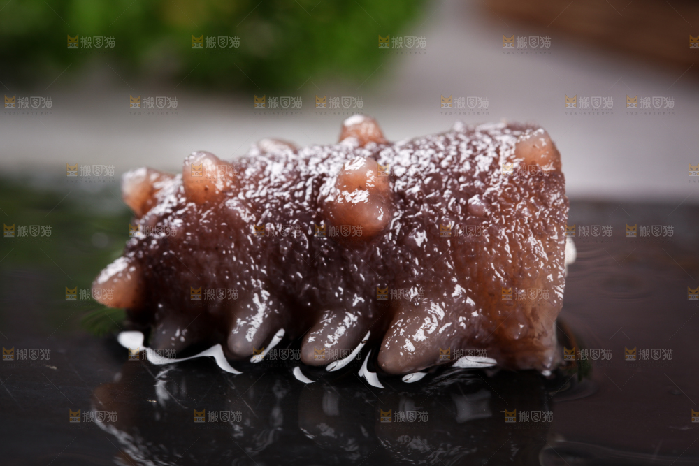 黑石板上的海参