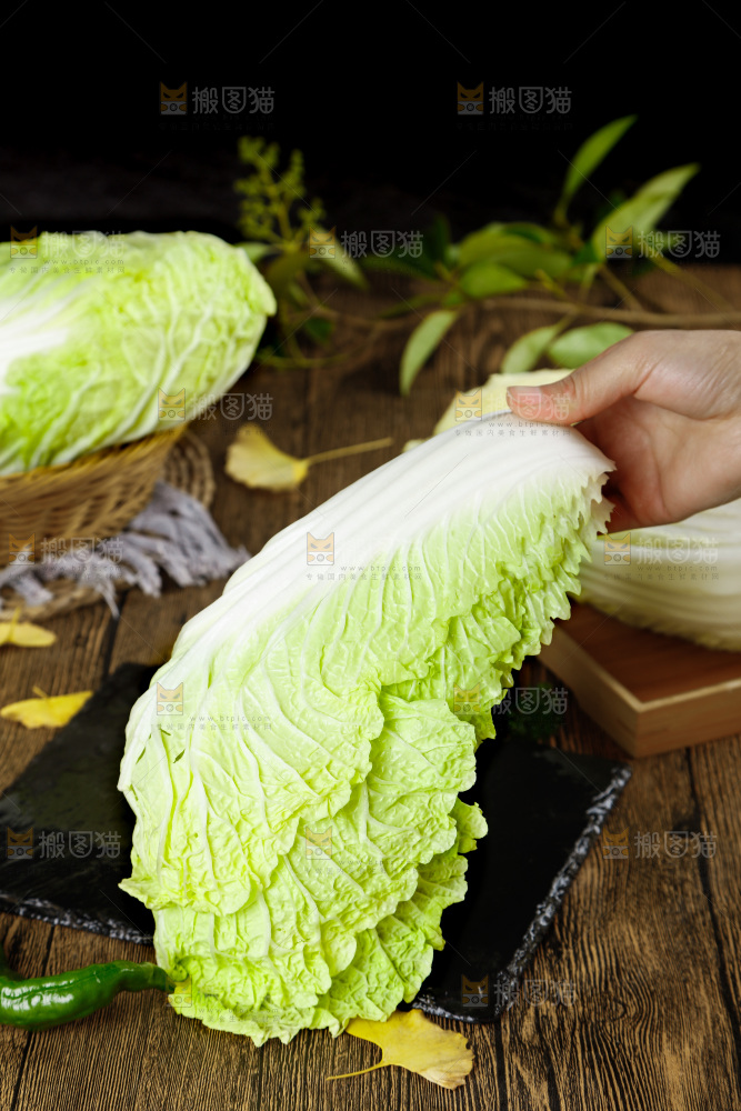 手拿大白菜叶