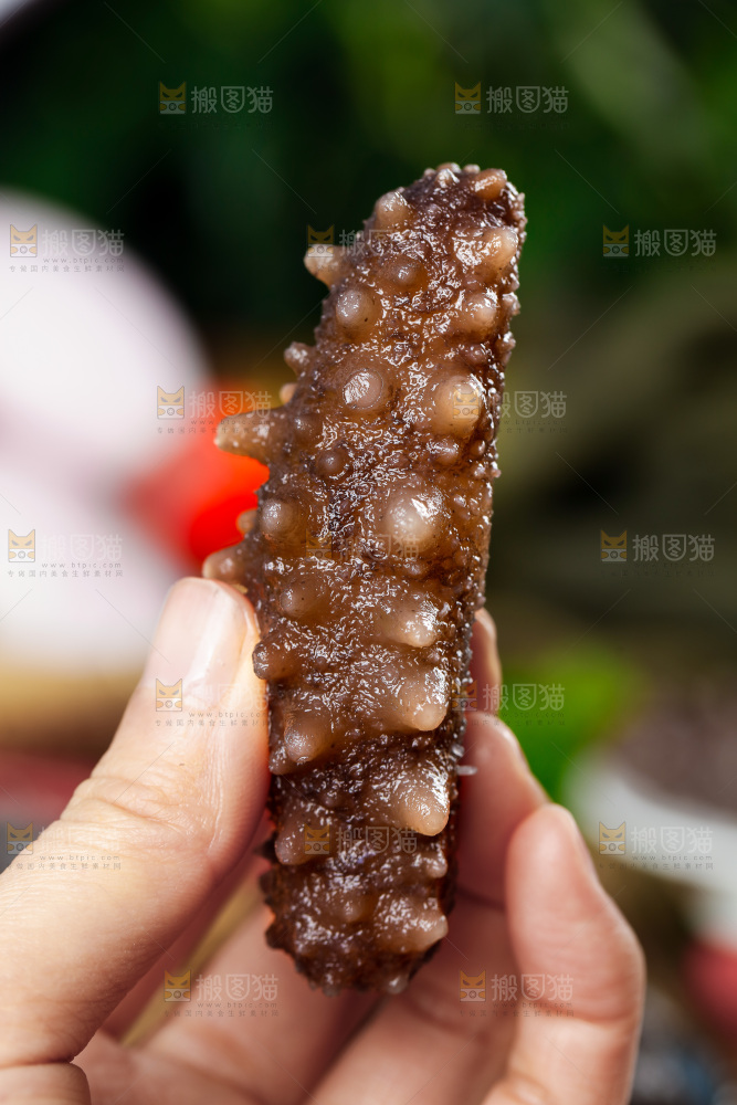 手拿海参
