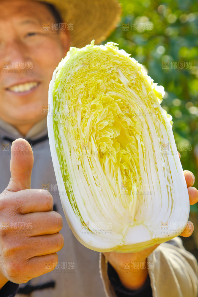 农民手拿大白菜
