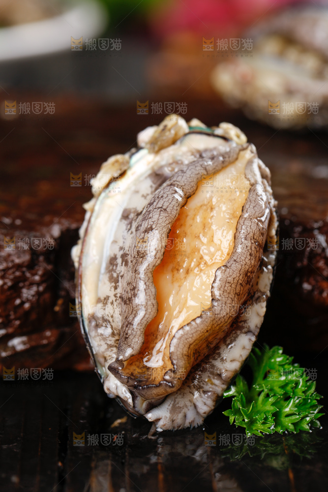 深底上的活冻大鲍鱼