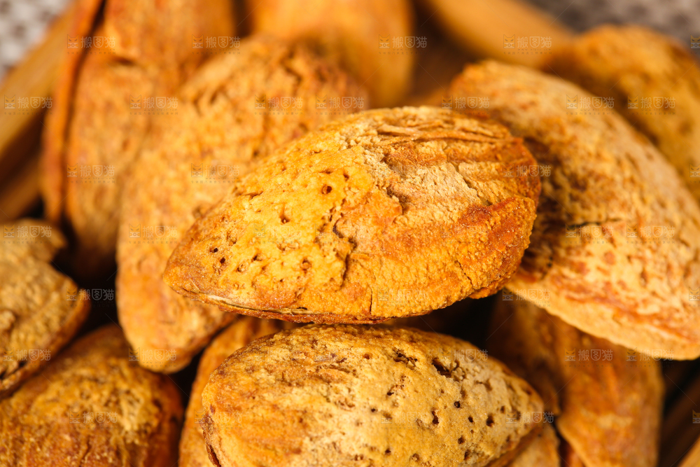 浅底上的巴旦木