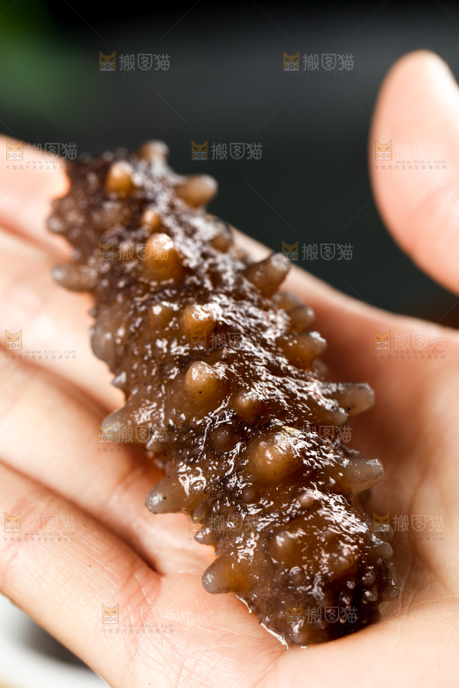 手拿海参