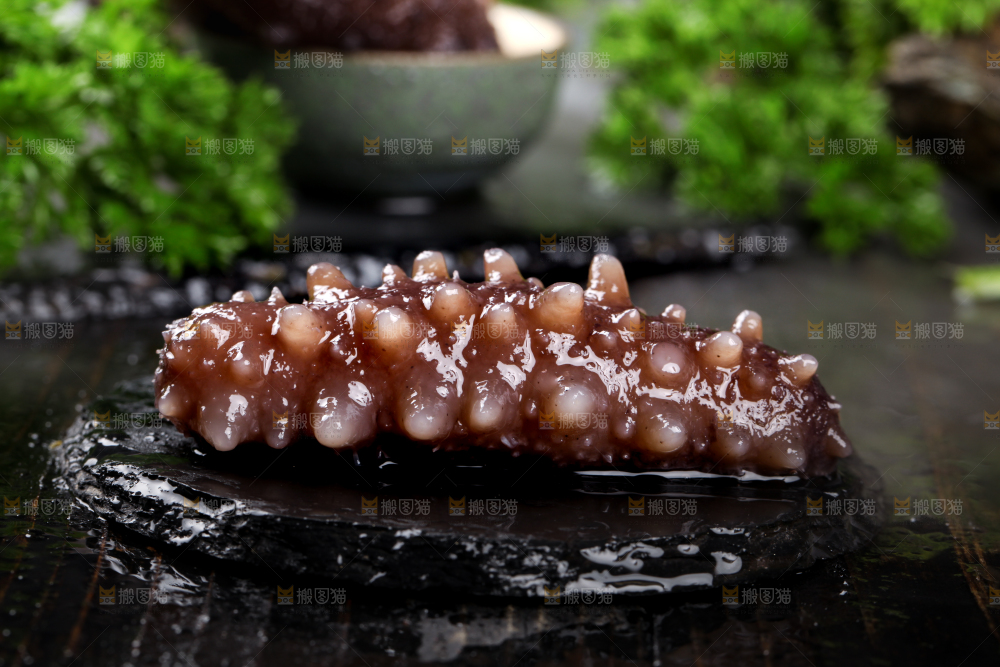黑石板上的淡干海参