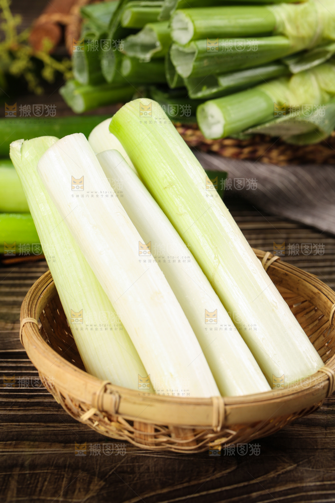 深底上的山东铁杆大葱
