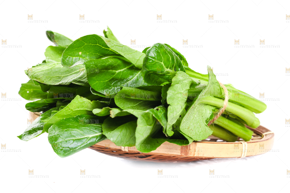 篮子里装着菜苔