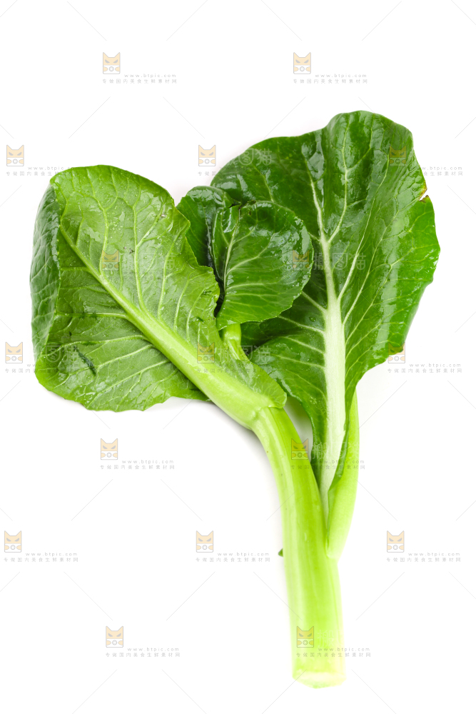 白底上放着菜苔