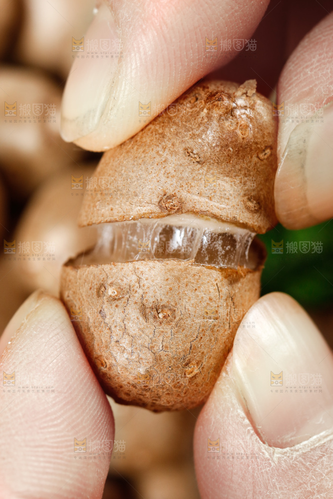 手里拿着山药豆