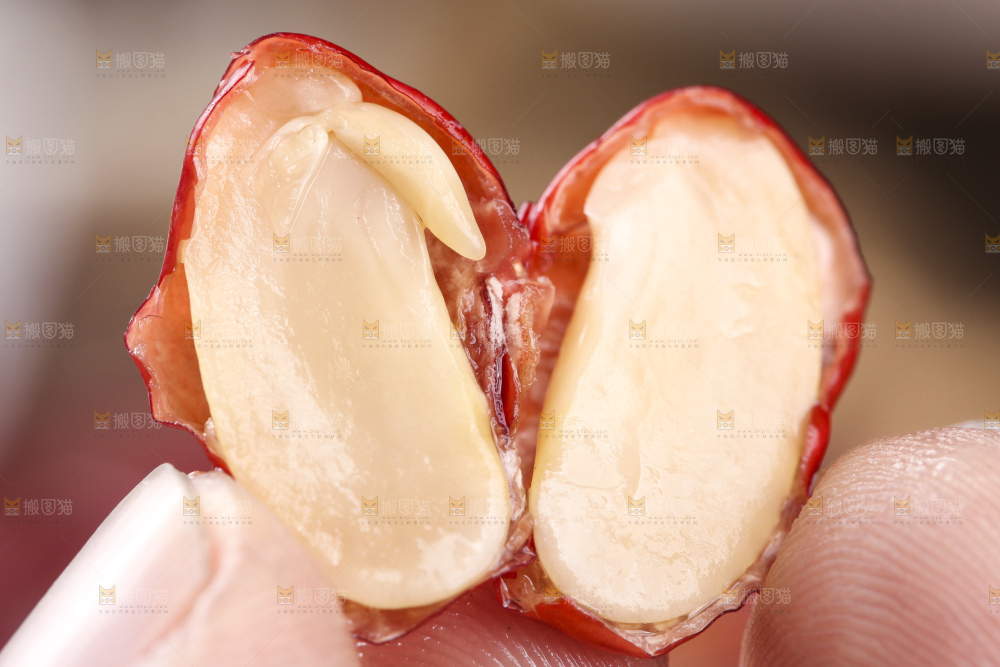 手里拿着红豆