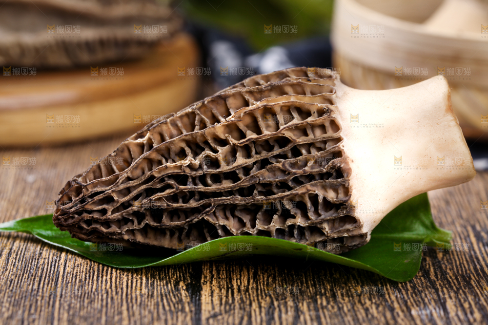 深底上摆放着羊肚菌