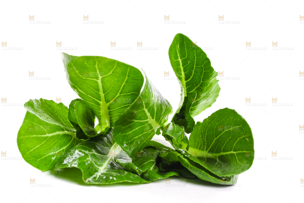 白底上放着菜苔