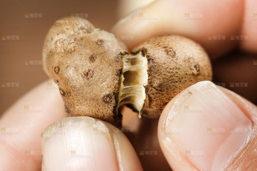 手里拿着山药豆