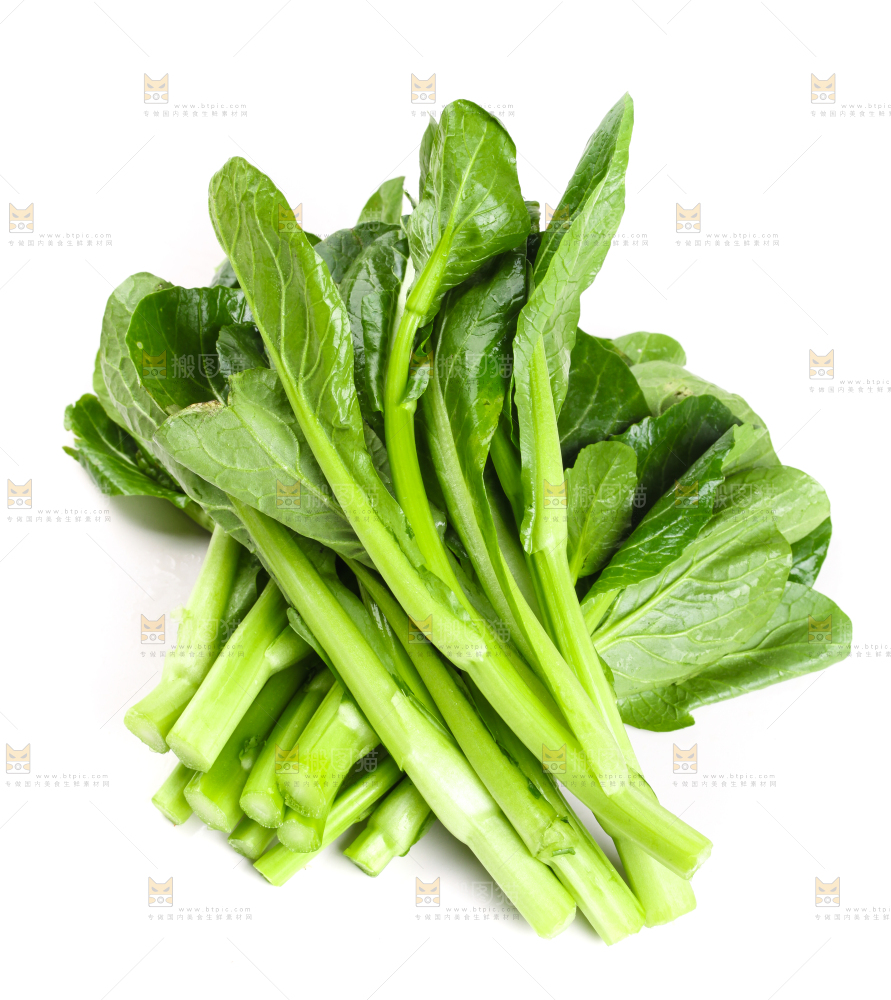 白底上放着菜苔