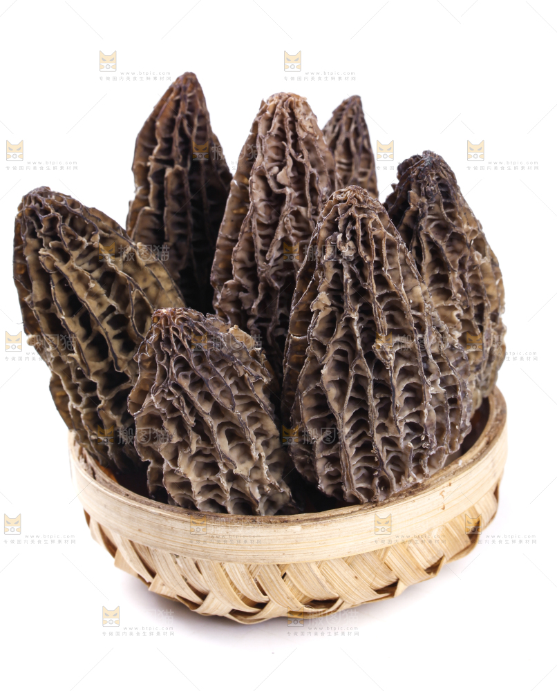 篮子里放着羊肚菇