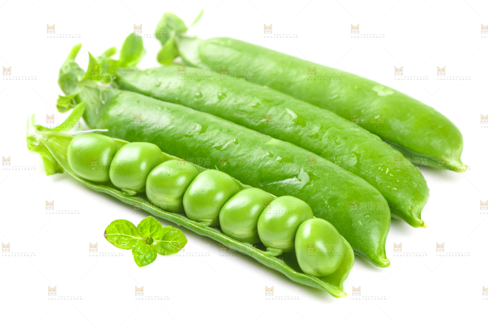 剥开的新鲜豌豆放在白底上