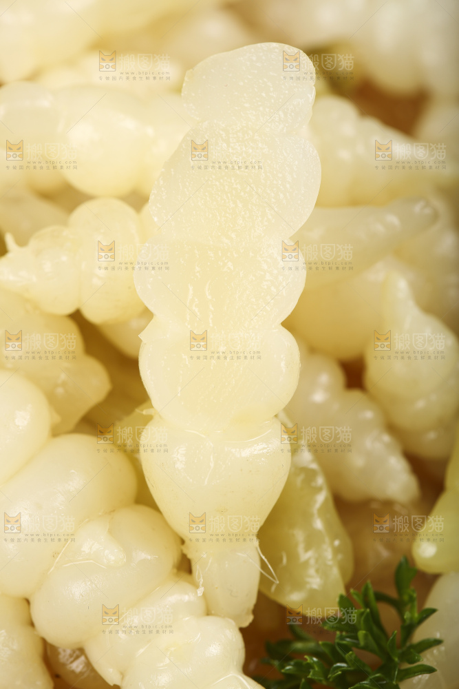 深底上的螺丝菜