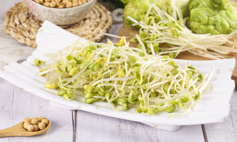 盘子里的豆芽