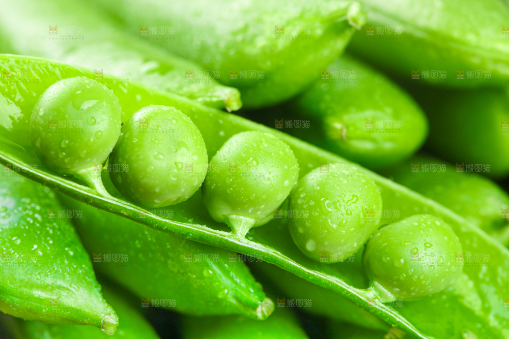 黑底上的新鲜豌豆粒