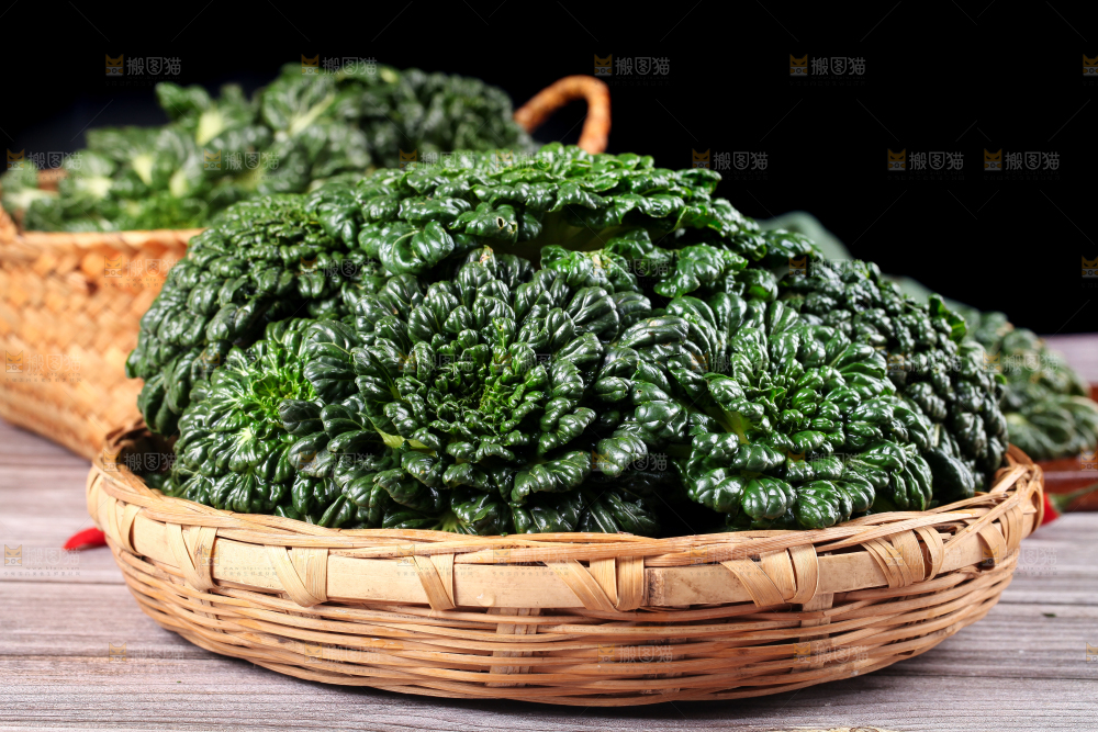 篮子里的新鲜菊花菜