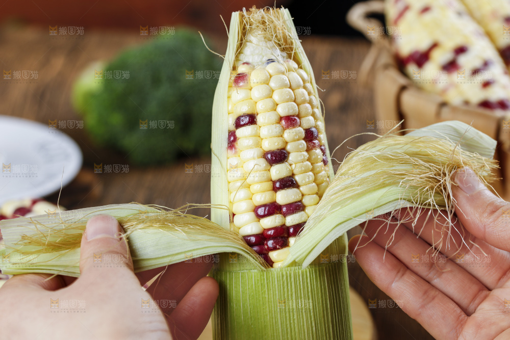 手拿花糯玉米
