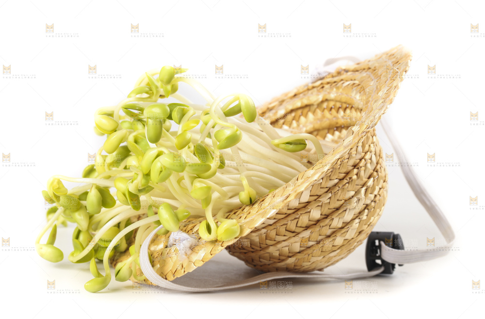 白底上的豆芽
