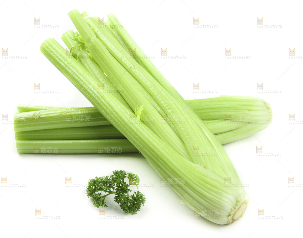 白底上的山东西芹