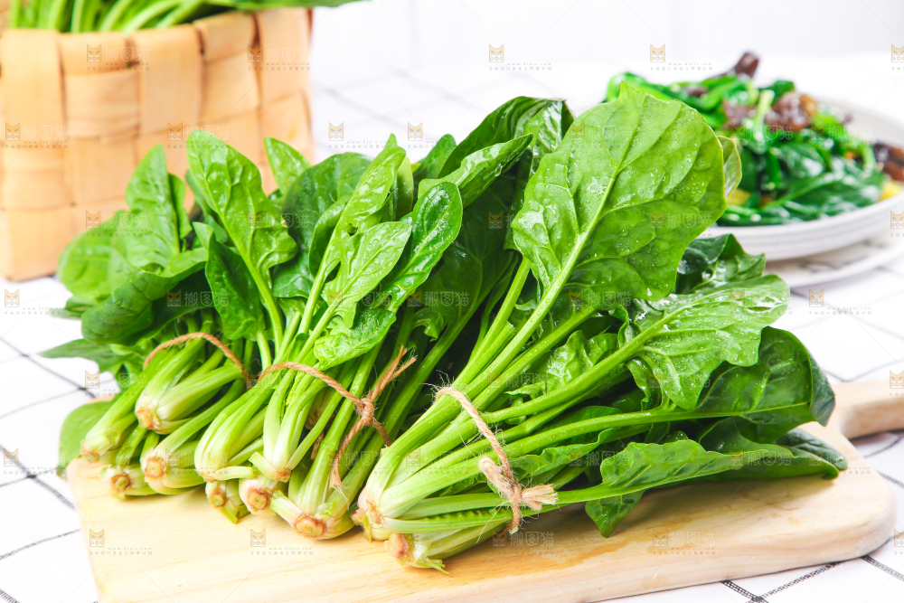 白格子底上的嫩菠菜