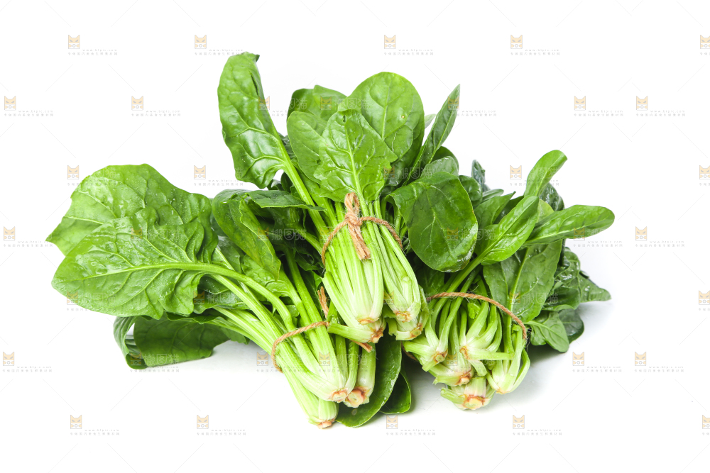 白底上的大叶菠菜