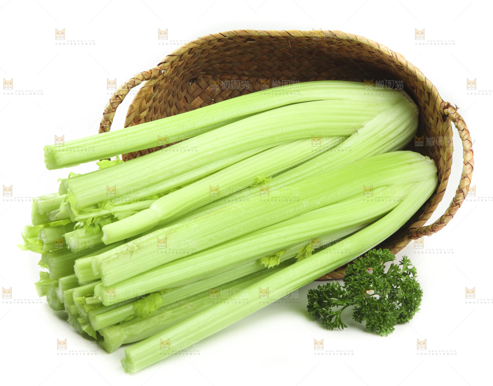 白底上的山东西芹