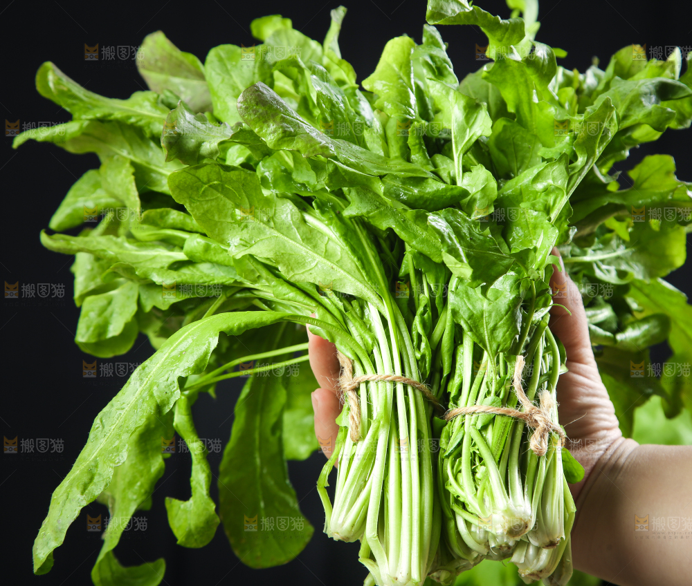 手里拿着新鲜芥菜