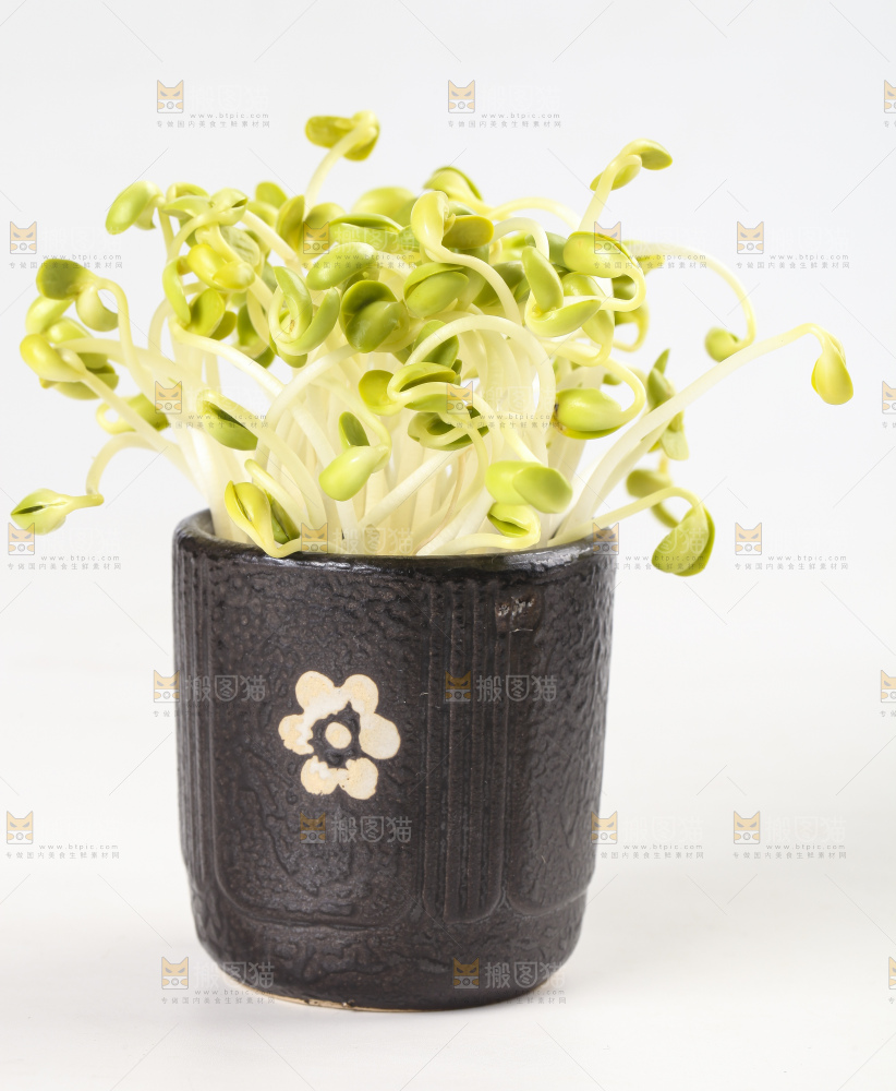 瓶子里放着黄豆芽