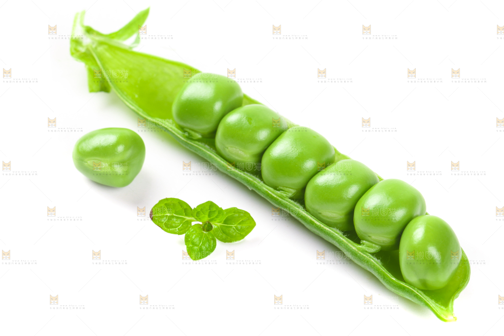 剥开的新鲜豌豆放在白底上
