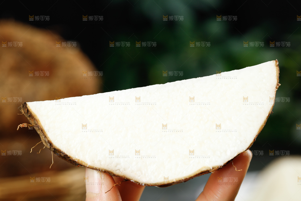石板上的新鲜山药