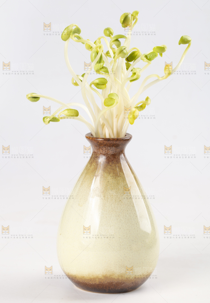 瓶子里放着黄豆芽