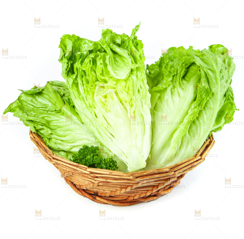 篮子里装着奶油生菜