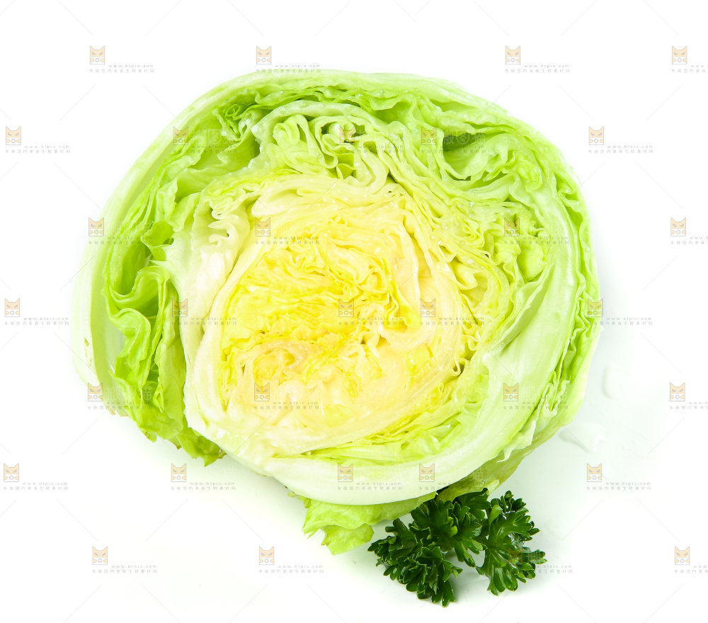 白底上的新鲜生菜