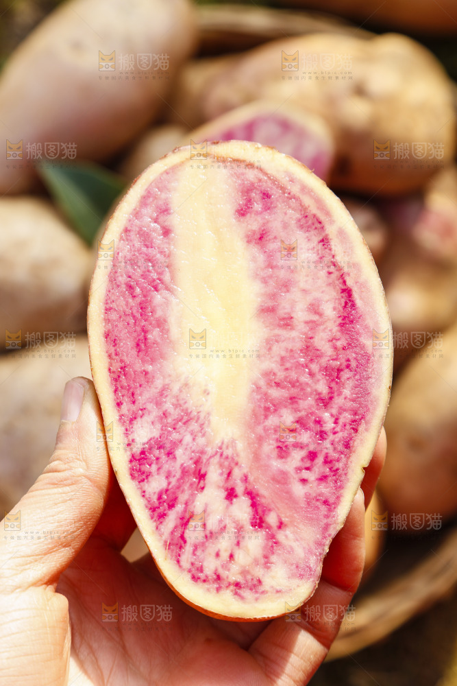 手里拿着彩色土豆