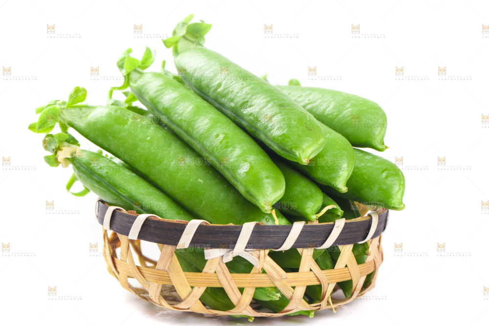 一筐新鲜豌豆放在白底上