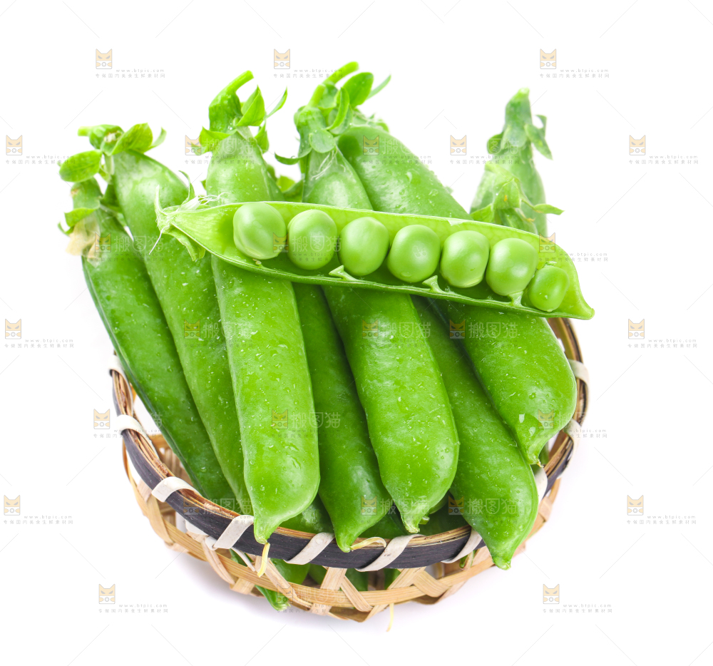 一筐新鲜豌豆放在白底上